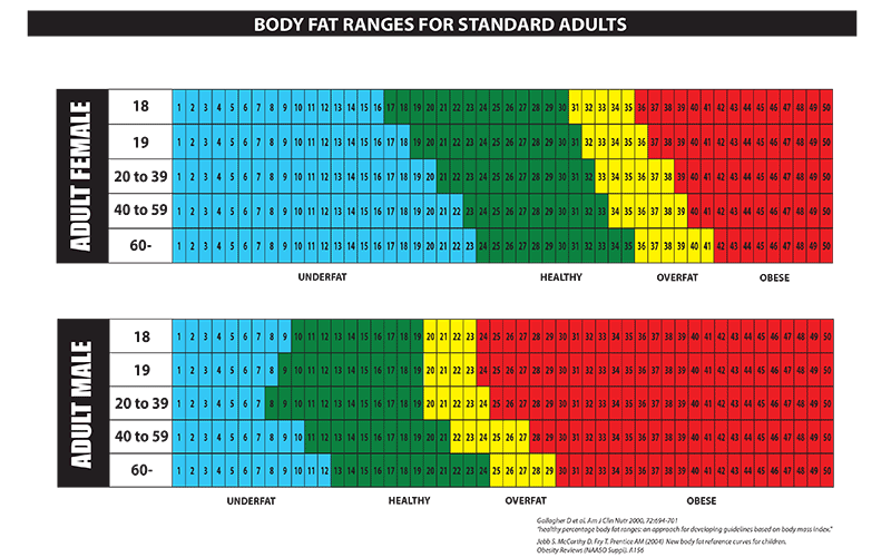Body Fat Chart for Men and Women