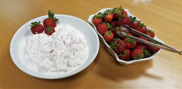 NuYou Low Cal Fruit Dip1 July 2017